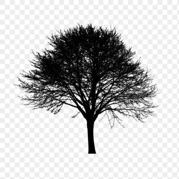 Tree silhouette png sticker, botanical | Free PNG - rawpixel