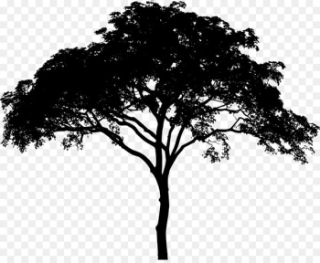 Tree Silhouette - tree Tree Silhouette - tree