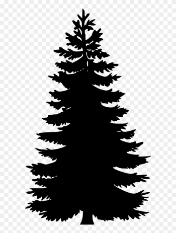 Tree Silhouettes - Pine Tree Vector Png