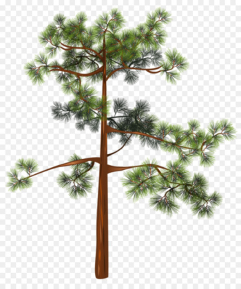 Tree, Stock Photography, Royaltyfree, White Pine PNG Tree, Stock Photography, Royaltyfree, White Pine PNG
