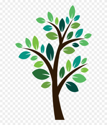 Tree - Tree For The Future Tree - Tree For The Future