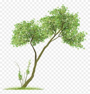 Tree - Tree Png For Picsart