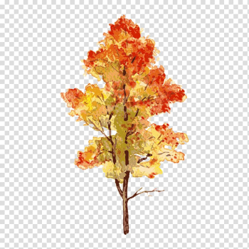 Tree,trees transparent background PNG clipart