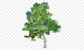Tree Watercolor painting - Trees Trees elements painted transparent element 