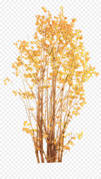 tree yellow branch plant woody plant tree yellow branch plant woody plant