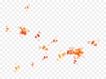 Tree, Yellow, Leaf, Orange, Text PNG Tree, Yellow, Leaf, Orange, Text PNG