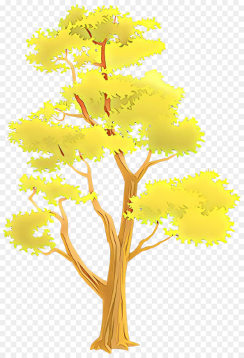 tree yellow plant woody plant leaf tree yellow plant woody plant leaf