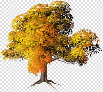 Tree Yellow , YELLOW transparent background PNG clipart Tree Yellow , YELLOW transparent background PNG clipart