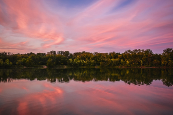 Trees Across Water during Sunset Trees Across Water during Sunset