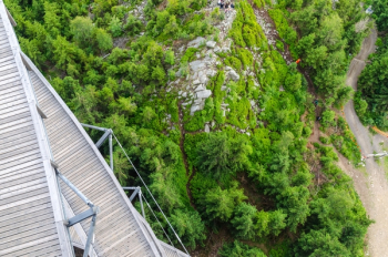 Trees Aerial Photography Trees Aerial Photography