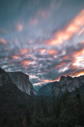 trees and mountain trees and mountain