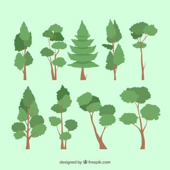 Trees collection in 2d style Trees collection in 2d style