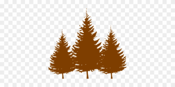 Trees, Conifers, Brown, Silhouette - Pine Tree Silhouette Vector Trees, Conifers, Brown, Silhouette - Pine Tree Silhouette Vector