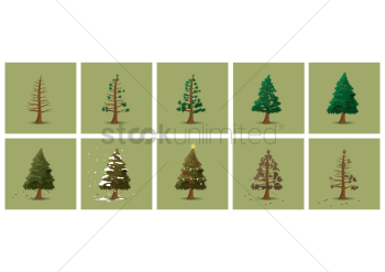 Trees in different season Trees in different season