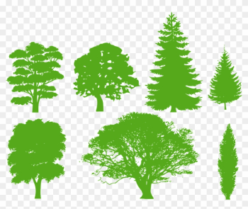 Trees Silhouette Variety Png Image - Pine Tree Silhouette