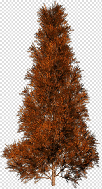 Trees transparent background PNG clipart Trees transparent background PNG clipart