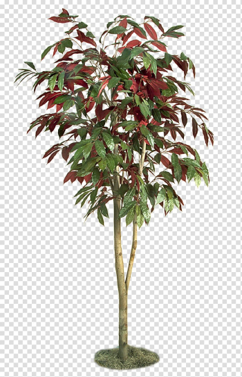 Trees transparent background PNG clipart Trees transparent background PNG clipart