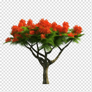 Trees transparent background PNG clipart Trees transparent background PNG clipart