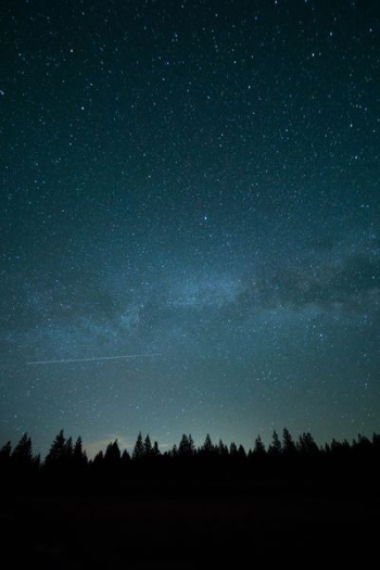 trees under blue sky and stars during nighttime photo trees under blue sky and stars during nighttime photo