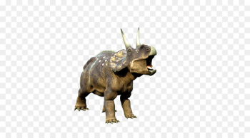 Triceratops Tyrannosaurus Dinosaur Wallpaper - dinosaur Triceratops Tyrannosaurus Dinosaur Wallpaper - dinosaur