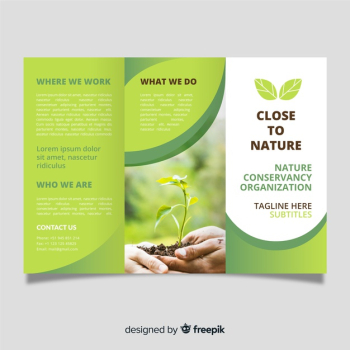 Trifold nature flyer with image