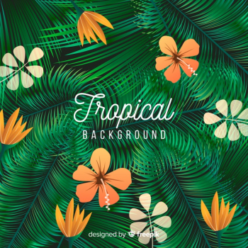 Tropical background Free Vector Tropical background Free Vector
