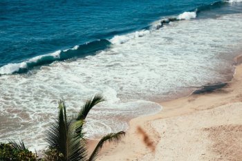 Tropical Beach Tropical Beach