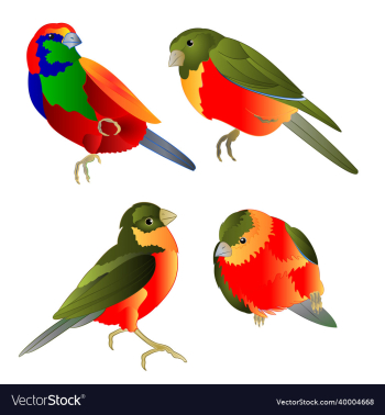 tropical birds watercolor on a white background tropical birds watercolor on a white background