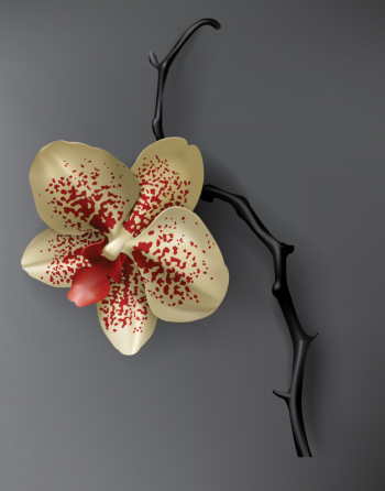 Tropical black, red and gold orchid flower on dark Free Vector Tropical black, red and gold orchid flower on dark Free Vector