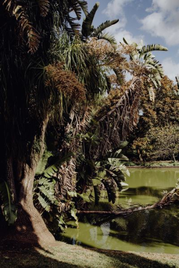 Tropical Botanical Garden in Belem, Lisbon, Portugal Tropical Botanical Garden in Belem, Lisbon, Portugal