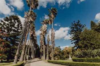 Tropical Botanical Garden in Belem, Lisbon, Portugal Tropical Botanical Garden in Belem, Lisbon, Portugal