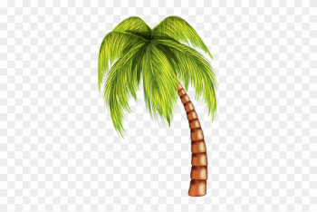Tropical Clipart Summer Tree - Coconut Tree Tree Png