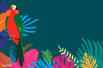 Tropical design space | Free stock vector - 679886 Tropical design space | Free stock vector - 679886
