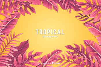 Tropical flower background Tropical flower background