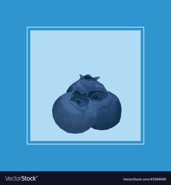 tropical fruit blueberry tropical fruit blueberry