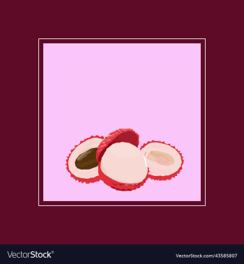 tropical fruit lychee tropical fruit lychee