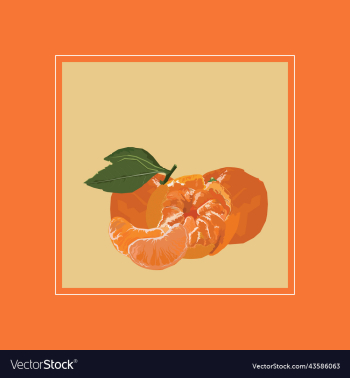 tropical fruit mandarin tropical fruit mandarin