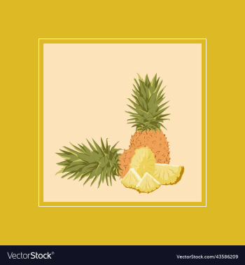 tropical fruit pineapple tropical fruit pineapple