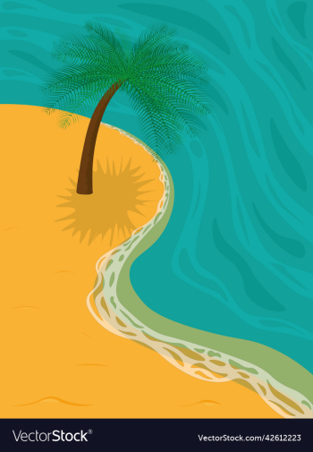 tropical landscape palm tree on sandy beach over