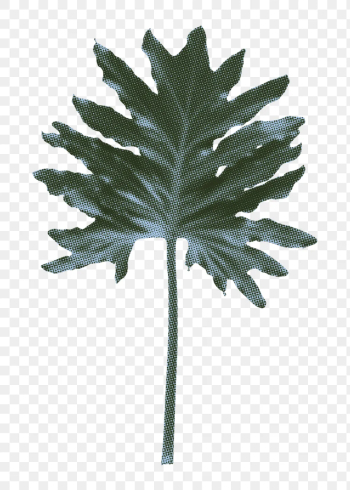 Tropical leaf png sticker, retro | Free PNG Sticker - rawpixel