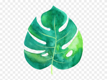 Tropical Leaf Watercolor - Tropic Tropical Leaf Png Tropical Leaf Watercolor - Tropic Tropical Leaf Png
