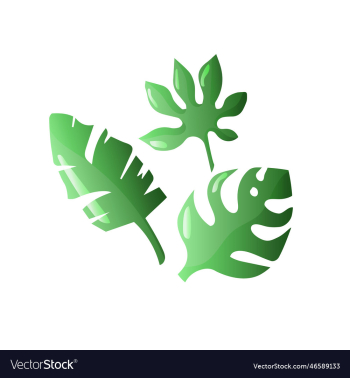 tropical leaves