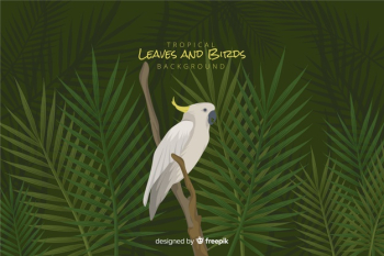 Tropical leaves and birds Free Vector Tropical leaves and birds Free Vector