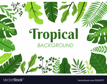 tropical leaves background