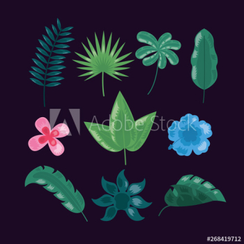 tropical leaves dark background