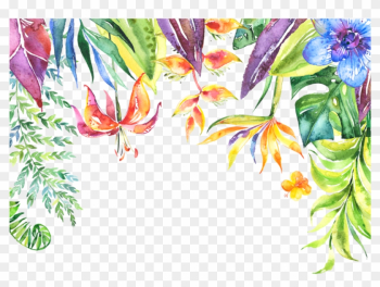 Tropical Leaves Flowers Plants Border - Tropical Frame Transparent Background