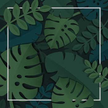 Tropical leaves frame Tropical leaves frame