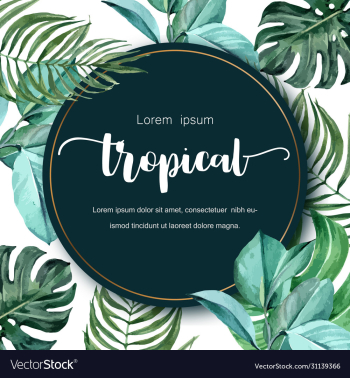 tropical leaves frame design with monstera