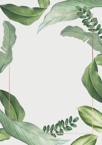 Tropical leaves frame Free Psd