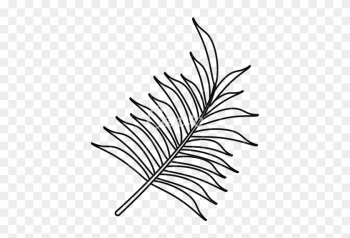 Tropical Leaves Png Transparent In Balck - Palm Leaf Outline